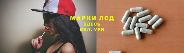гидра Алексеевка