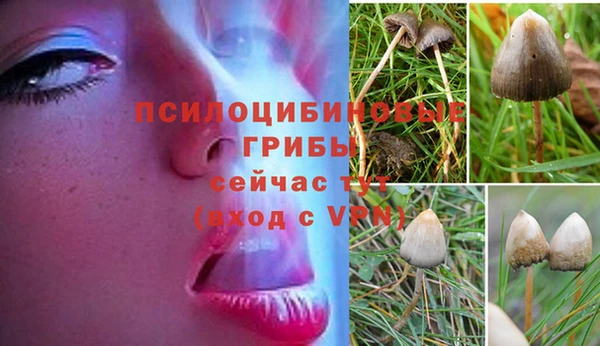 гидра Алексеевка
