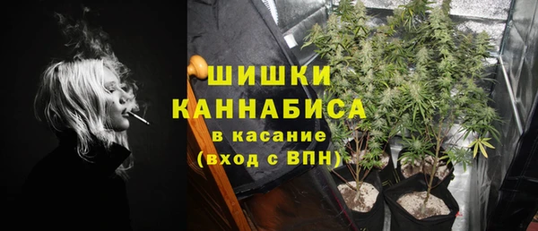 дмт Алзамай