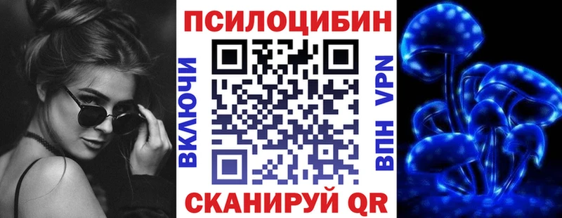 где можно купить   Карпинск  Псилоцибиновые грибы Magic Shrooms 